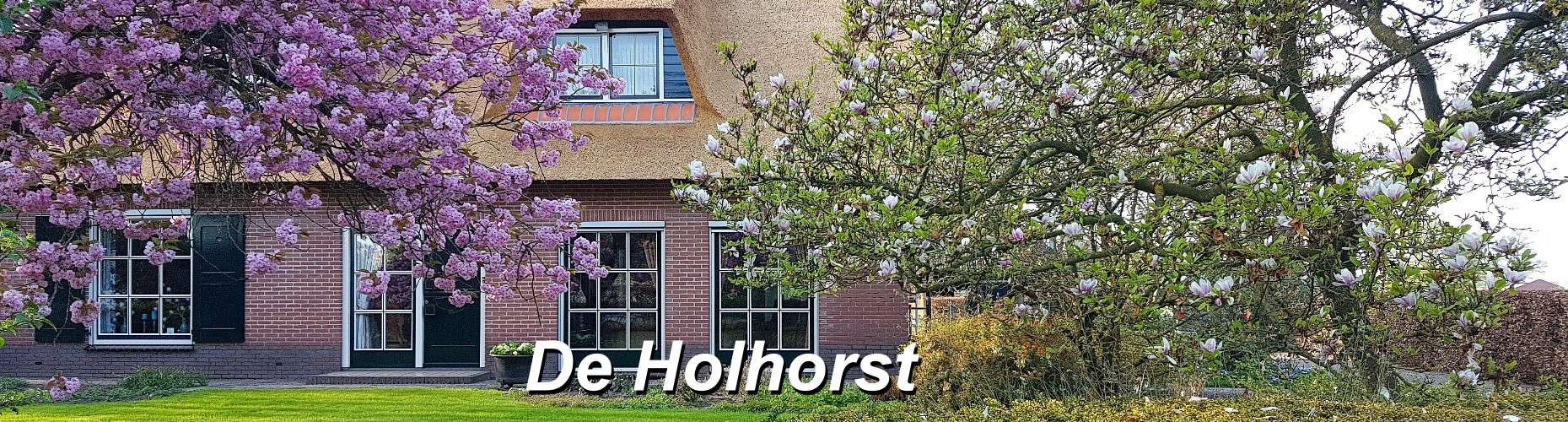 Welkom in de Holhorst