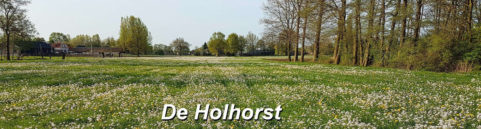 Omgeving van de Holhorst